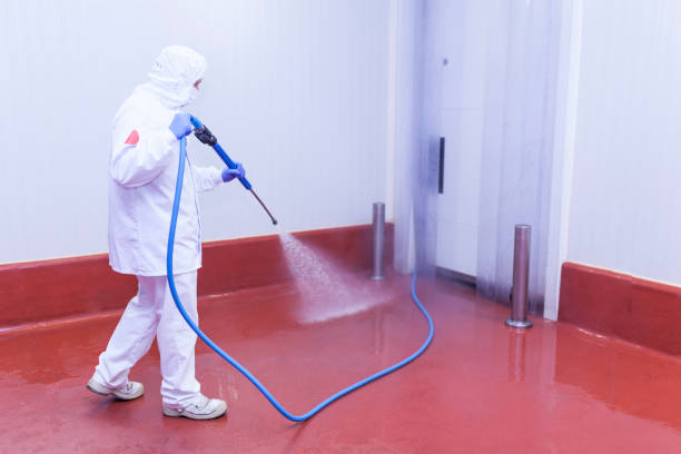 Best Parking Lot and Garage Cleaning  in St Helen, MI